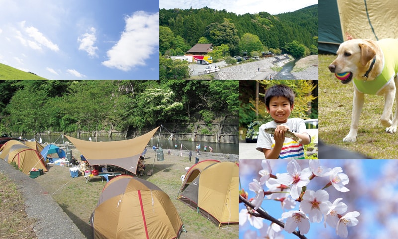 自然と遊ぼう。